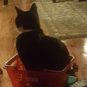 Meet your Posher, Em